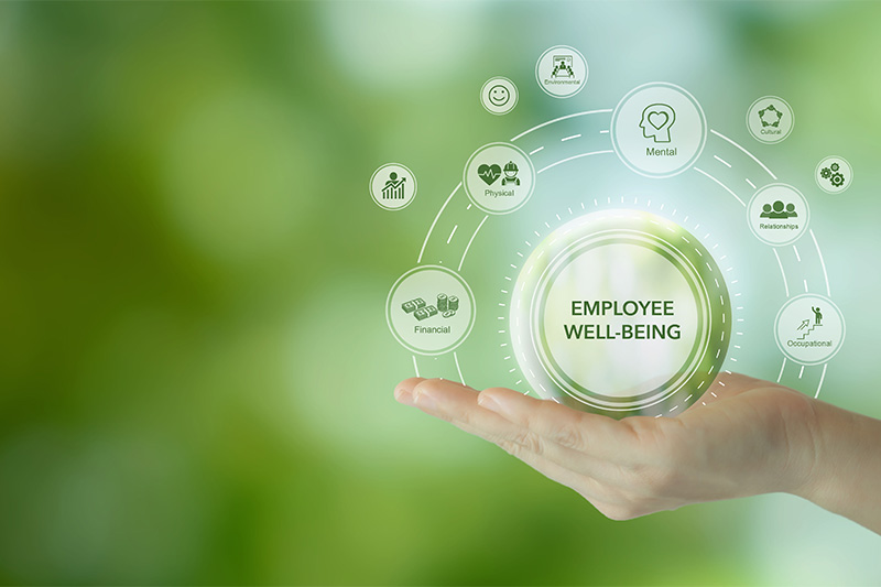 Why Productivity and Financial Wellness Are Interconnected