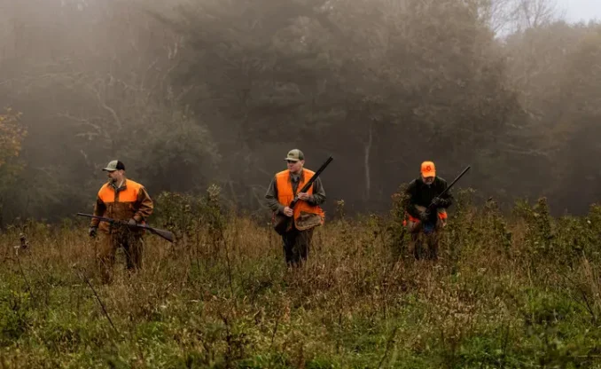 Human-Bear Conflict Management
