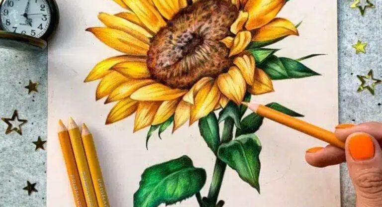 How to Draw a Sunflower step by step easy drawing tutorial