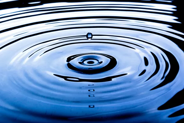 The Ripple Effect of Happiness