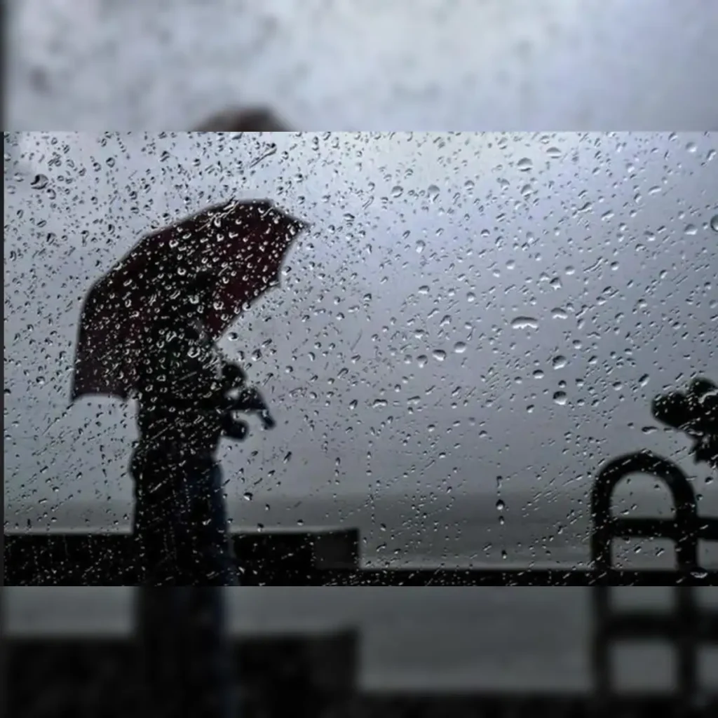 The Role of Data in CJMonsoon