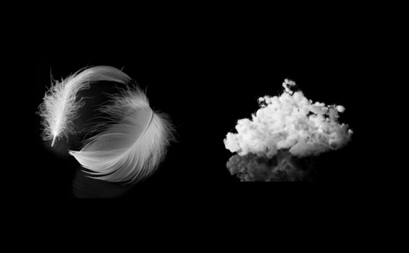 Comparison with Synthetic Insulation