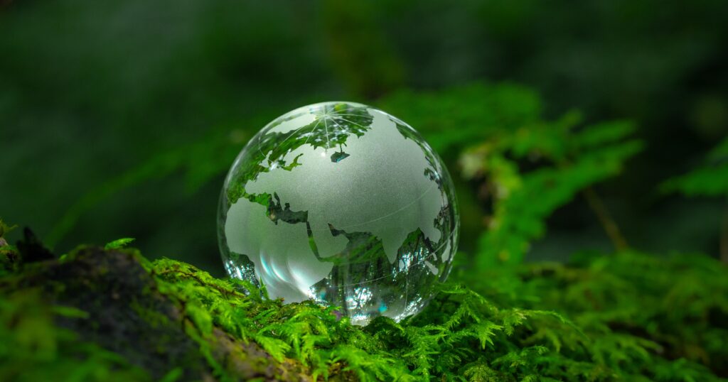 Environmental Sustainability
